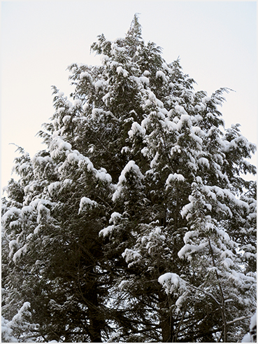 First snow.