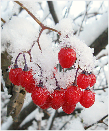 First snow.