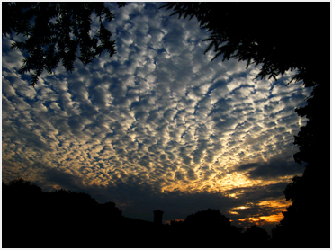 Altocumulus clouds.