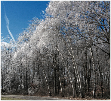 Ice storm.