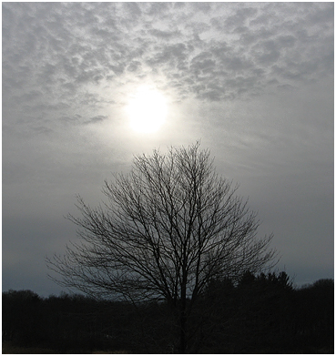 Clouds rolling in.