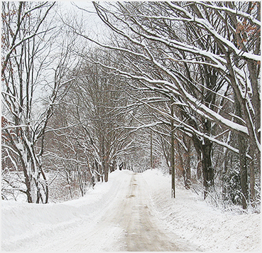 Snowy dirt road.