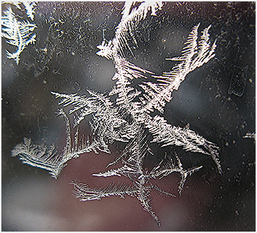 Frost crystals.