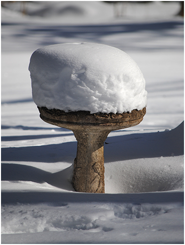 Over a foot of snow.